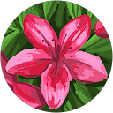 Marta profile picture